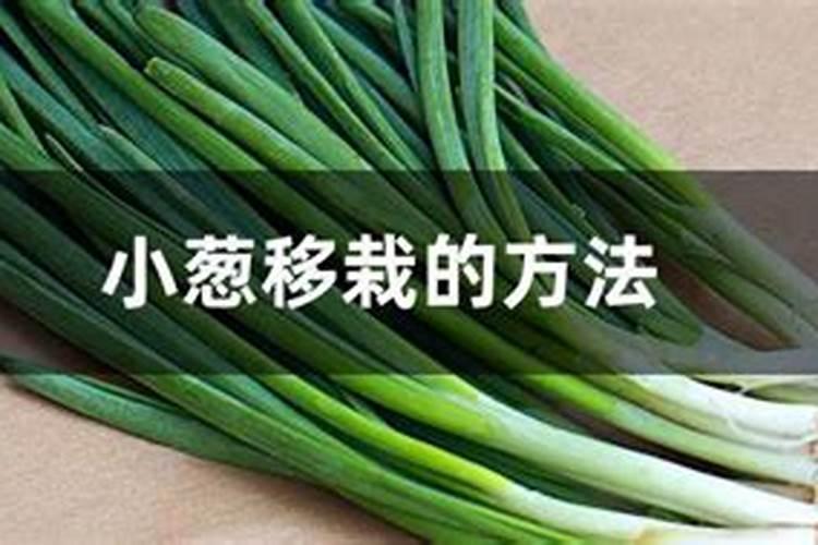 黄腐酸钾和复合肥,大微量元素水溶肥,高磷水溶肥,冲施肥混合浇施可以吗...