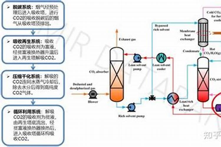 二氧化碳的施肥效应