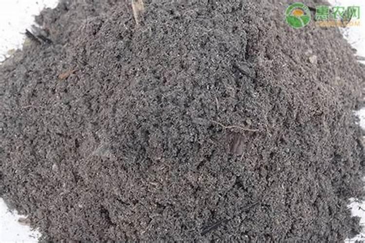 比草木灰还好用的养花材料,做肥料,防病虫,阻止杂草