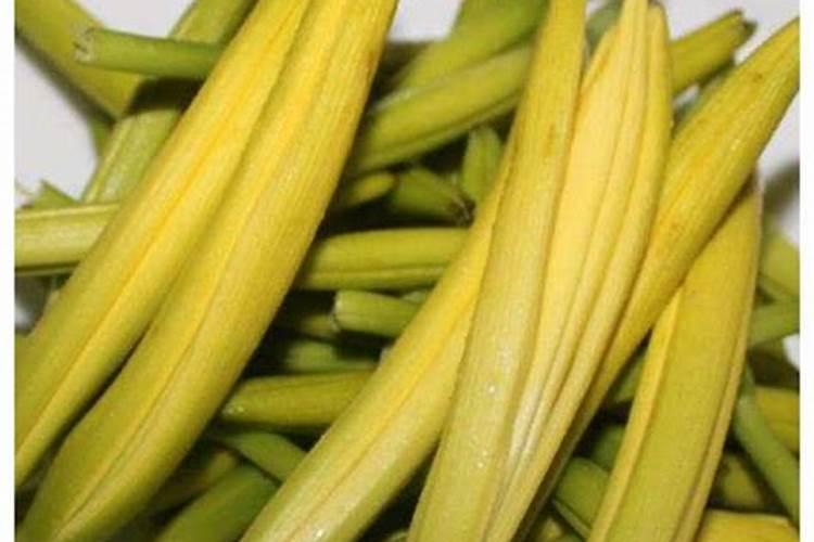 钾肥的最佳使用时间