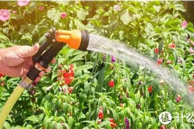 什么叫氨基酸水溶肥,含氨基酸水溶肥原料分析