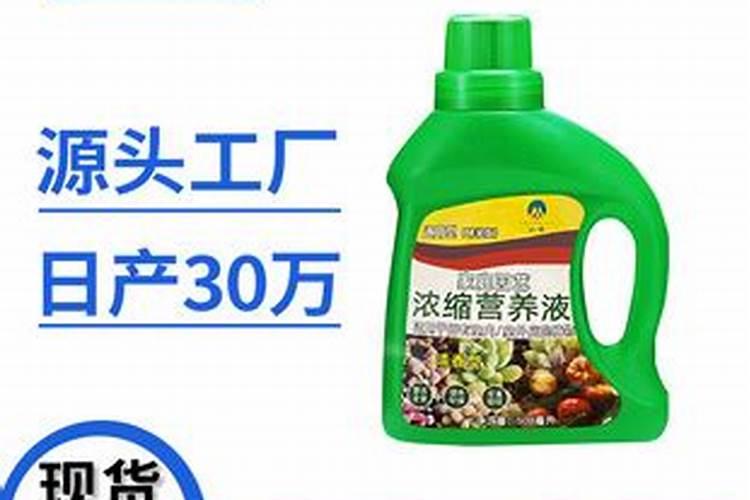 蔬菜叶面肥木醋液批发厂家