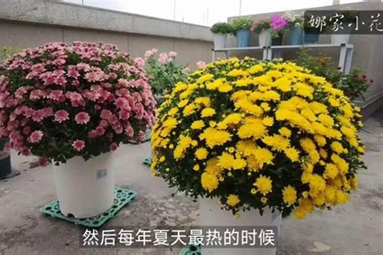 最富营养,最贫瘠的土壤分别是什么啊？