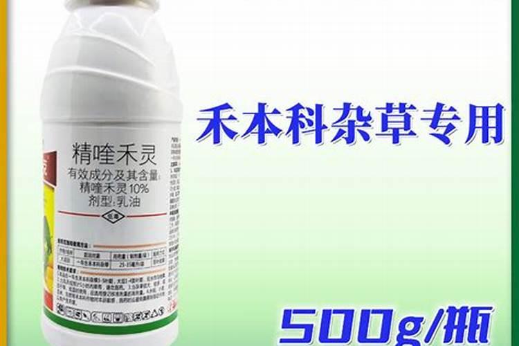 氯化胆碱+萘乙酸+精奎禾灵+硫酸钾会产生药害吗？