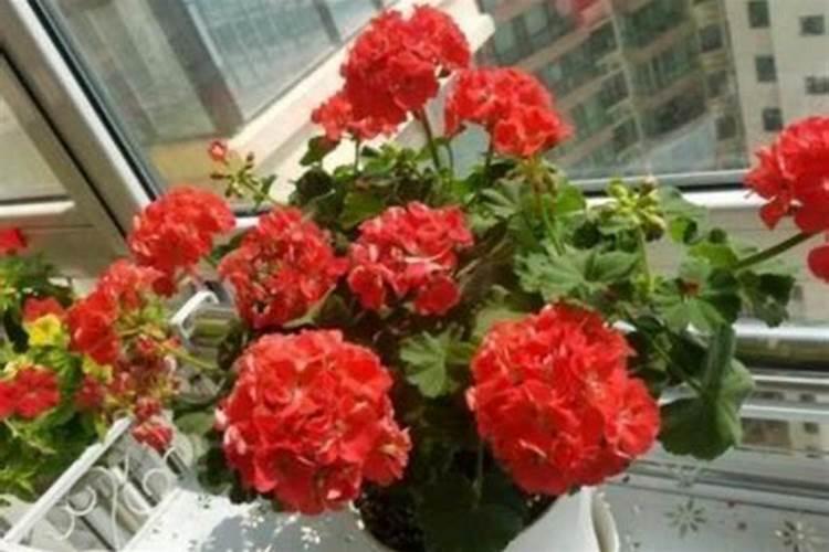 过期的植物油用途 过期的植物油有啥妙用