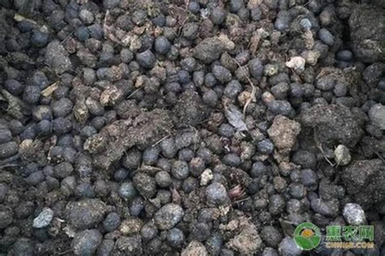 有机肥是有机物吗 有机肥是酸性还是碱性