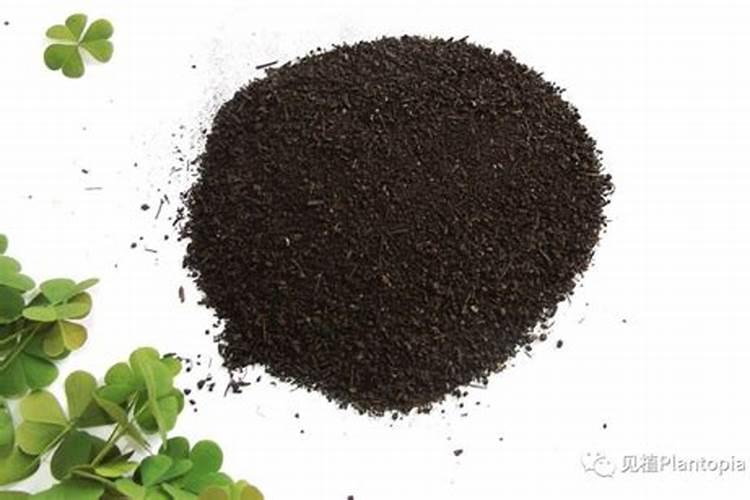 酸性肥料有机肥与酸性肥料