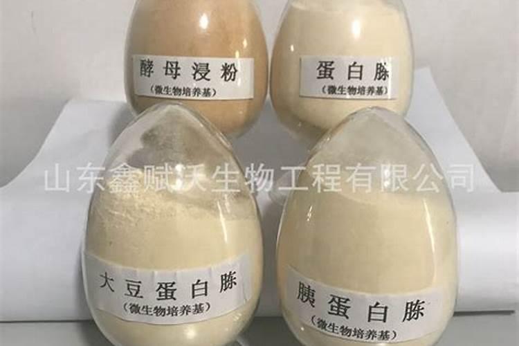 大而浅的花盆种什么花好