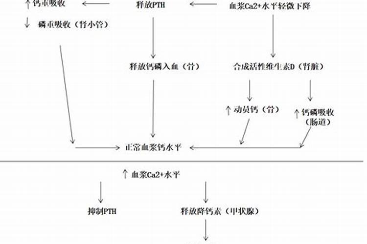 钙镁磷肥怎样用效果好 钙镁磷肥使用注意事项有哪些