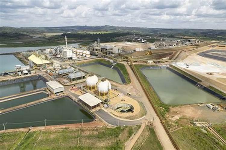 马来西亚国花是什么花,是扶桑花(附养殖方法)