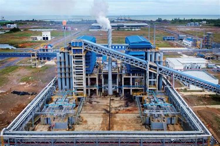 马来西亚国花是什么花,是扶桑花(附养殖方法)