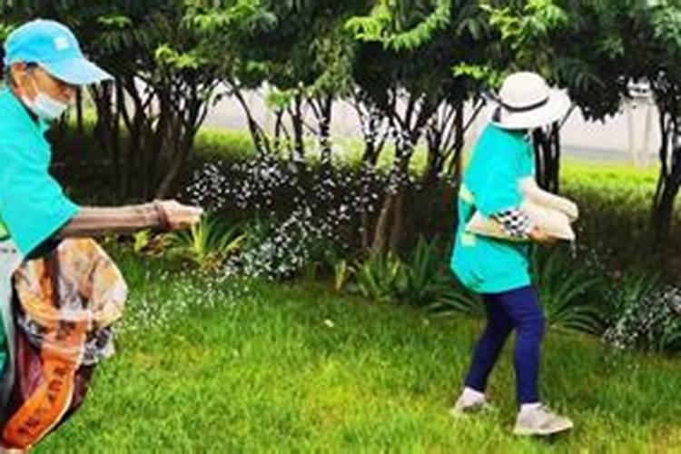 阳光玫瑰葡萄日灼病最简单治疗