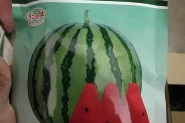 硫酸钾水溶肥西瓜地几天用一次