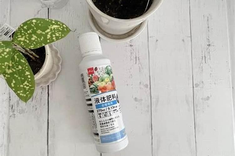 中微量元素肥料正确使用方法