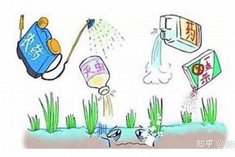 芸苔素多久喷一次,什么时候不能喷,什么情况下使用