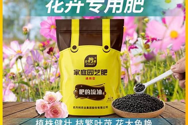 三角梅花期用什么肥料好？三角梅应该多久施肥一次？