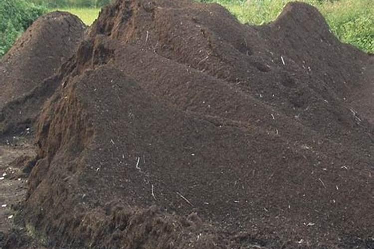 泥炭的主要组成及性质