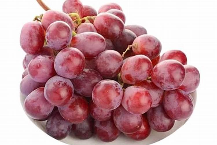 红提葡萄什么时候秋施肥好？