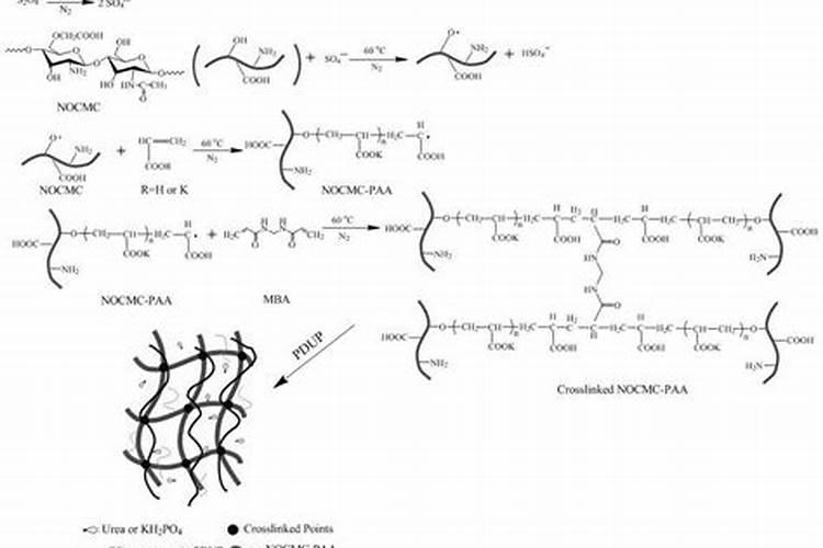 磷酸二氢钾用在猕猴桃上浓度多少