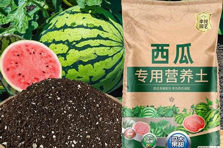 盆栽育苗应该加点什么肥料