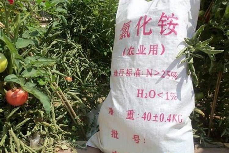 玉米追肥用硫酸铵可以吗