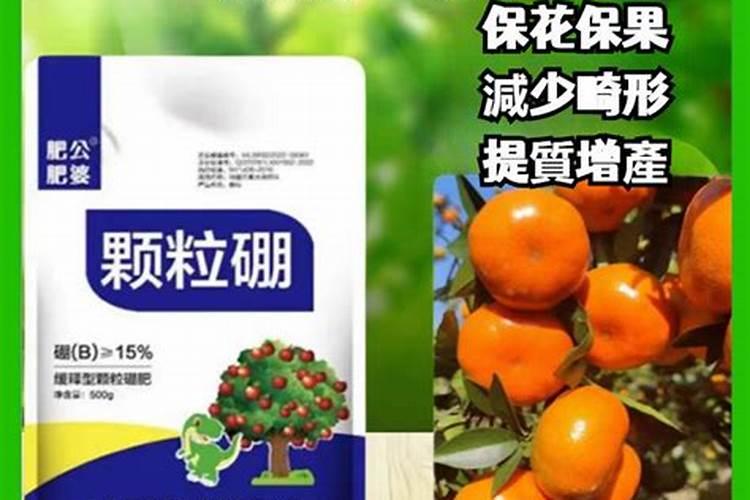 硼肥在柑橘树上的最佳使用时期