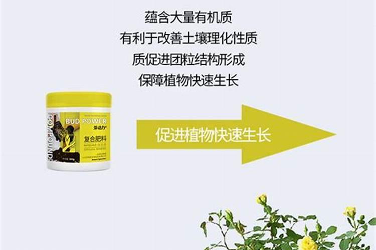 三元复合肥哪个品牌好