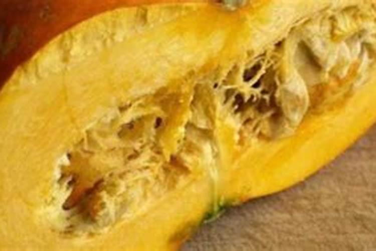 烂南瓜可以放土里种菜吗