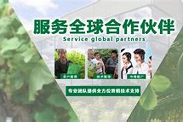 黄腐酸钾的使用方法