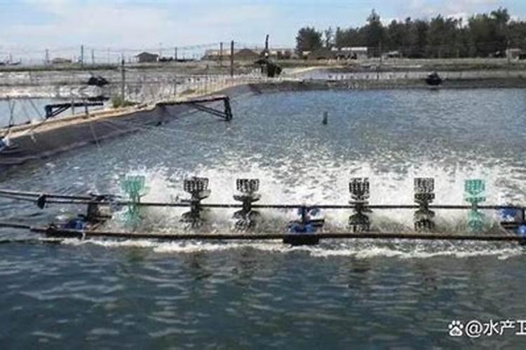 芭提雅最大的烂尾楼