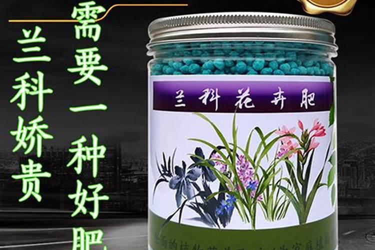 秋天兰花施什么肥料最佳