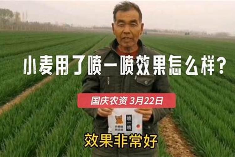 小麦喜欢硫酸钾还是氯化钾 小麦肥害的症状