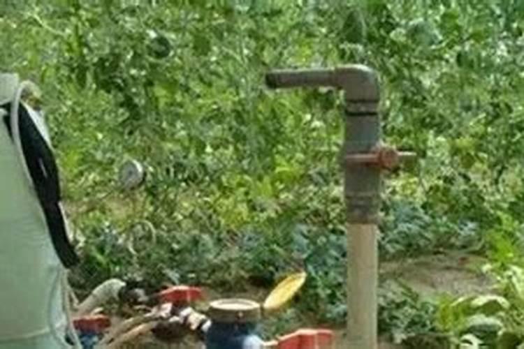 水溶肥稀释倍数是按什么计算