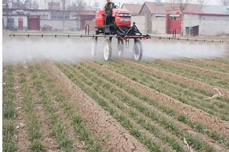 谷子纹枯病防治方法