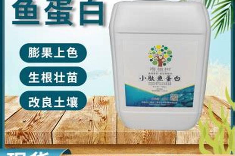 茉莉花叶子发黄是什么原因造成的(大量黄叶子是什么问题)