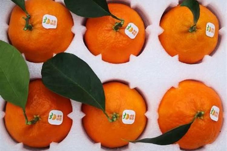 高产柑橘果树如何施肥？