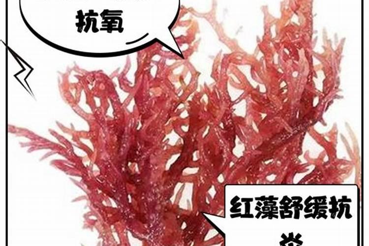 海藻肥的分类有哪些,有哪些优势