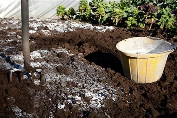 三个20的平衡水溶肥什么时候使用