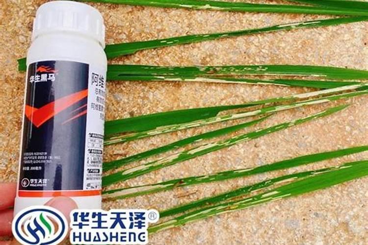 虫螨腈能和叶面肥混用吗？