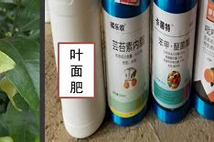 氟啶胺和叶面肥如何混用？