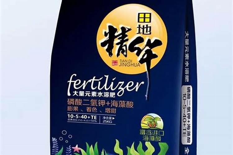 最好的海藻肥排名