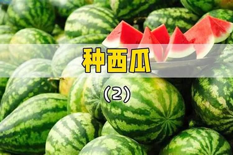 高塔硝基系列复合肥的特点？
