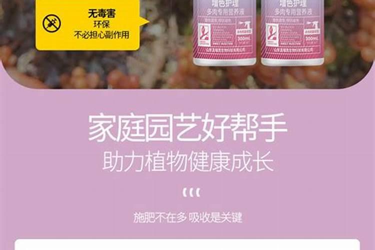 适合多肉的肥料有哪些