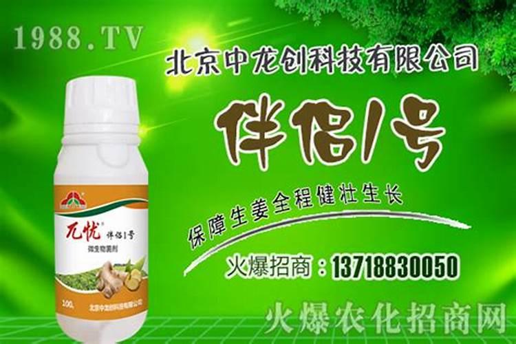 生姜种植三大忌是什么