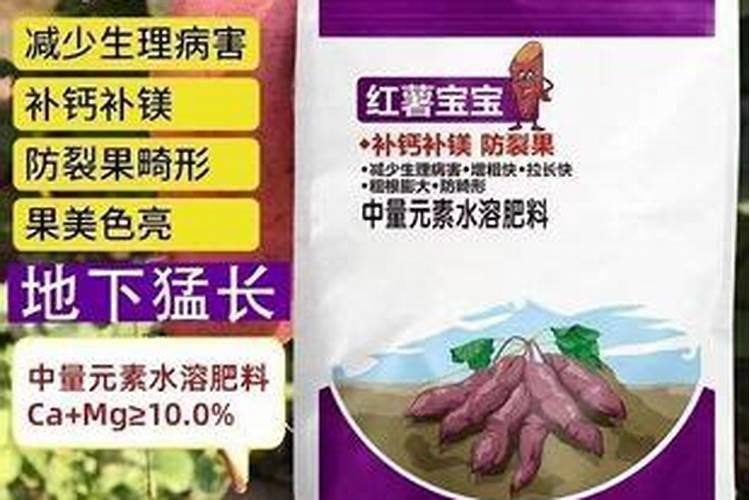 红薯打控旺频繁好吗