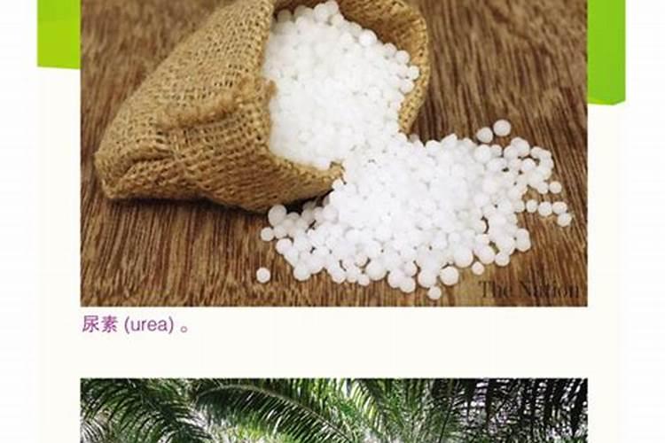硝态氮肥是什么肥料？硝态氮肥和尿素区别