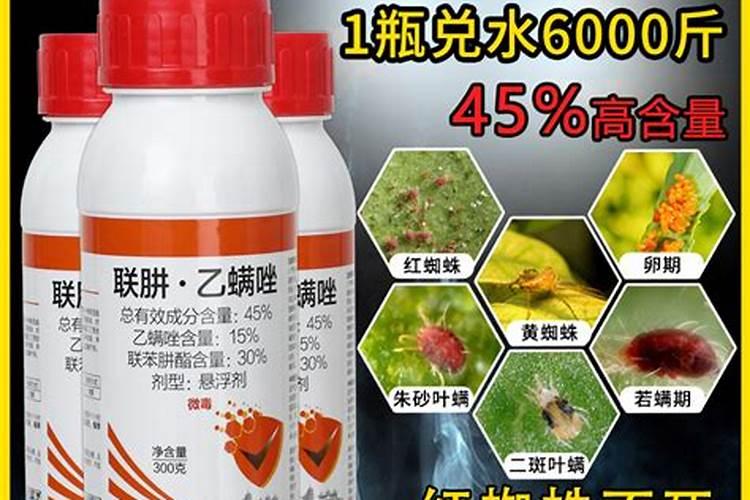 请问红蜘蛛吸白的叶子怎么挽救