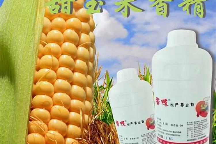 一百斤玉米里放1斤酒曲,两斤玉米里需要放多少？