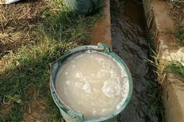 沙土地种植什么药材好