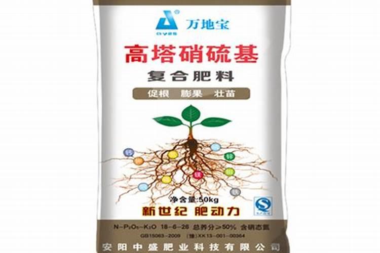 生根壮苗用什么肥料最好